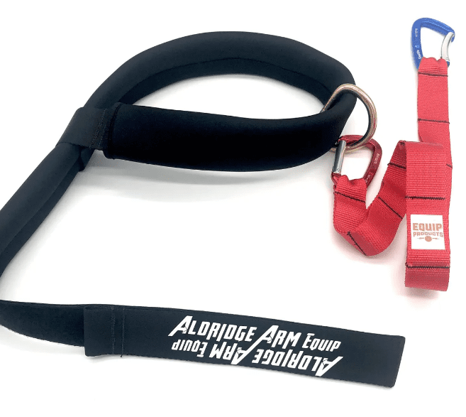 Aldridge Arm Harness and Strap