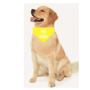 Dog Bandana | Yellow